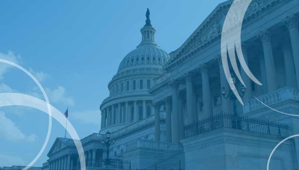 Navigating Government Contracting: Insights from Auxo
